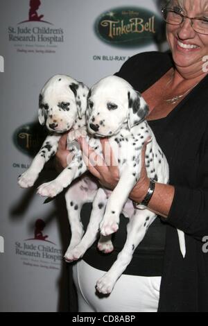 11 ott 2008 - Los Angeles, California, Stati Uniti d'America - Disney's DALMATIONS presso la pista per la vita a vantaggio aiutando St Jude per bambini Ospedale di ricerca, presentato da 'Tinker Bell' su DVD e Blu-ray, svoltasi presso il Beverly Hilton Hotel di Beverly Hills. (Credito Immagine: Â© Paul Fenton/ZUMA Press) Foto Stock