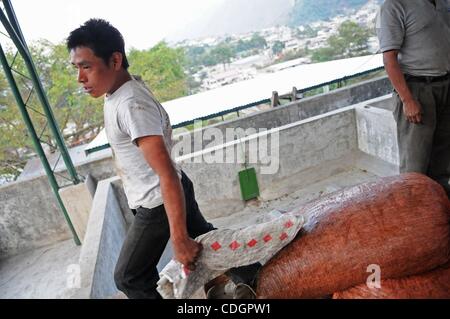 Jan 19, 2011 - San Lucas Tolimon, Guatemala - il lavoratore svolge un sacchetto di chicchi di caffè al San Lucas missioni caffè zona di lavorazione. La missione aiuta le aziende di caffè nella zona e la propria azienda di ottenere prezzi equi per il caffè prodotto nelle valli di montagna intorno al Lago de Atitlan. (Immagine di credito Foto Stock