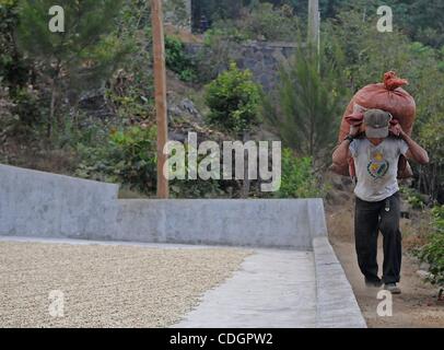 Jan 19, 2011 - San Lucas Tolimon, Guatemala - il lavoratore svolge un sacchetto di chicchi di caffè al San Lucas missioni caffè zona di lavorazione. La missione aiuta le aziende di caffè nella zona e la propria azienda di ottenere prezzi equi per il caffè prodotto nelle valli di montagna intorno al Lago de Atitlan. (Immagine di credito Foto Stock