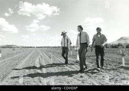 Febbraio 4, 2011 - Reedley, CALIFORNIA, STATI UNITI - (FILE) un file immagine datata 17 maggio 1977 ci mostrano il presidente Jimmy Carter (C) touring i campi della fattoria Kryder per visualizzare gli effetti della siccità in Reedley, California, Stati Uniti d'America. (Credito Immagine: © Carter Archives/ZUMAPRESS.com) Foto Stock