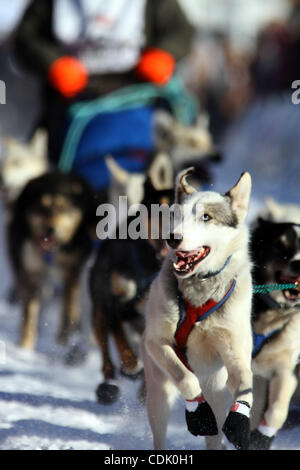 Mar 6, 2011 - Willow, Alaska, Stati Uniti - Ellen Halverson's sled dog team tira il suo dalla linea di partenza di inizio ufficiale del sentiero Iditarod Sled Dog Race in Willow per l inizio del 1.150 miglia race per nome. (Credito Immagine: © Al Grillo/ZUMAPRESS.com) Foto Stock