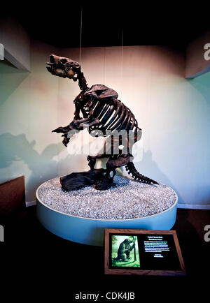 Mar 09, 2011 - Los Angeles, California, Stati Uniti d'America - lo scheletro di un Harlan di massa del bradipo, Glossotherium harlani, in mostra presso il Museo di pagina. Lavori di scavo è attualmente in corso di svolgimento sul "Progetto 23", una grande cache di recentemente rinvenuti ossa fossili recuperati dalla La Brea Tar Pits, includi Foto Stock