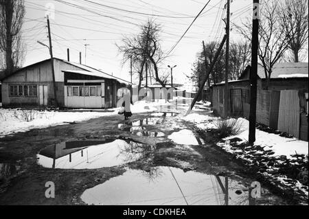 La gente vive nei contenitori dopo 23 anni. Asia, Armenia, Gyumri, 06.03.2011: Gyumri (ex Leninakan) ha sofferto a causa del terremoto del 7 dicembre 1988. L epicentro del terremoto è stato nella città di Spitak, uccidendo 25000 persone. In Gyumri più di 20.000 appartamenti e case private sono state rovinate e Foto Stock