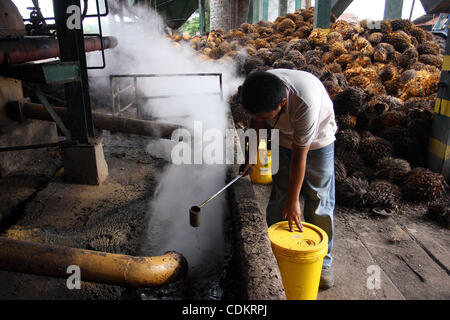 Mar 25, 2011 - Isulan, isola di Mindanao, Filippine - lavoratore filippino è visto presso lo stabilimento di trasformazione per olio frutti di palma. Olio di palma è considerato importante quanto le sue altre risorse come obiettivi di crescita. Le imprese asiatiche come quelli in Indonesia e Filippine potrebbe assumere la leadership nella produzione di p Foto Stock