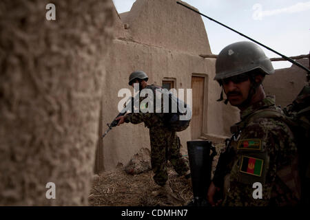 Apr 09, 2011 - Panjwayi, Kandahar, Afghanistan - esercito nazionale afghano soldati preparati a entrare in una stanza in un composto durante un'operazione di compensazione con degli Stati Uniti e del Canada e le forze di ISAF nei pressi del villaggio di Nakhonay nel distretto di Panjwayi della provincia di Kandahar, Afghanistan, sabato. Il battaglione dimensionati c Foto Stock