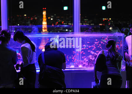 Luglio 14, 2011 - Tokyo, Giappone - Tokyo il grattacielo è visto dietro il pesce di anemone visualizzato durante la 'Sky acquario 2011" presso il Tokyo City View del Roppongi Hills a Tokyo in Giappone. L'acquario è tenuto all'altezza di 250m dal suolo dal 15 luglio al 25 settembre. (Credito Immagine: © Hiroki Ya Foto Stock