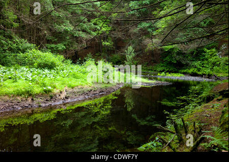 Giugno 14, 2011 - Dingmans Ferry, Pennsylvania, Stati Uniti d'America - 14 Giugno 2011: un piccolo stresm lungo il sentiero Conashaugh in Dingman's Ferry, Pennsylvania. (Credito Immagine: © Alex Cena/Southcreek globale/ZUMAPRESS.com) Foto Stock