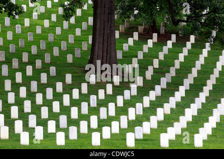 Sett. 30, 2011 - Charlottesville, Virginia, Stati Uniti - Una piena onori funerali si sono tenuti per esercito sergente di prima classe William T. Brown presso il Cimitero Nazionale di Arlington a Washington D.C. Il sergente di prima classe William T. Brown resti sono stati trovati nel corso di quest'anno in Vietnam 38 anni dopo si recò a mancare in un Foto Stock