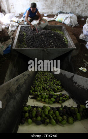 Ottobre 24, 2011 - Ramallah, West Bank - palestinesi la produzione di olio di oliva nel villaggio di Deir Bezia vicino a Ramallah come il raccolto delle olive stagione continua. L' agricoltura è un settore importante dell'economia locale, impiegando molti palestinesi e contribuendo a gran parte dei loro scambi commerciali. (Credito Immagine: © Issam rima Foto Stock