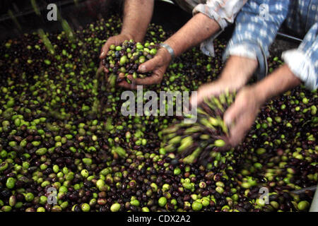 Ottobre 24, 2011 - Ramallah, West Bank, Territorio palestinese - palestinesi la produzione di olio di oliva in fabbrica d'olio d'oliva nella West Bank villaggio di Deir Bezia vicino al West Bank città di Ramallah il 23 ottobre 2011 durante la raccolta delle olive stagione. L' agricoltura è un settore importante della palestinese per la CE Foto Stock