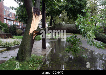 Agosto 28, 2011 - New York New York, Stati Uniti - New York City uragano Irene.Manhattan Beach e a Coney Island ottenere pestate dall uragano Irene Street di allagamento e strade abbattuto da forti venti Â© 8/28/11 danni da vento tree split dall uragano Irene.(Immagine di credito: © Bruce Cotler/Glo Foto Stock