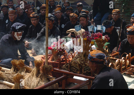 Le popolazioni indigene tribù Sundanese sfilando con appena raccolto durante la settimana di tradizionale raccolto annuale cerimonia localmente noto come 'Seren Taun' nel villaggio di Cisungsang, provincia di Banten, Indonesia.11 settembre 2011. Il vecchio di secoli festival agraria è radicata in Sundanese l'antica influenza Foto Stock