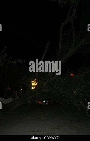 Agosto 28, 2011 - New York New York, Stati Uniti - Il giorno dopo l uragano IRENE L'albero fino radicata DAL SUOLO E DANNEGGIARE LA LINEA DI ALIMENTAZIONE IN LINDENWOOD HOWARD BEACH QUEENS NEW YORK Aug 28 2011.(Immagine di credito: Â© Mitchell Levy/Globe foto/ZUMAPRESS.com) Foto Stock