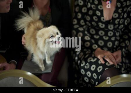 Sett. 16, 2011 - Londra, Inghilterra, Regno Unito - Butters il cane assiste la Maria Grachvogel mostrano al Savoy. (Credito Immagine: © Mark Makela/ZUMAPRESS.com) Foto Stock