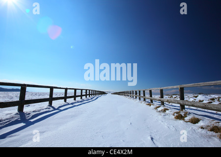 Strada innevata in altopiano utsukushigahara, nagano Giappone Foto Stock