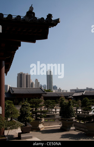 Chi Lin convento e Giardino Nan Lian Diamond Hill Kowloon Hong Kong Cina Foto Stock