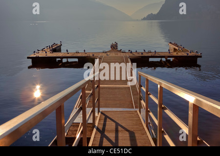 Molo nel sole invernale con i gabbiani di Lugano, Ticino, Svizzera Foto Stock