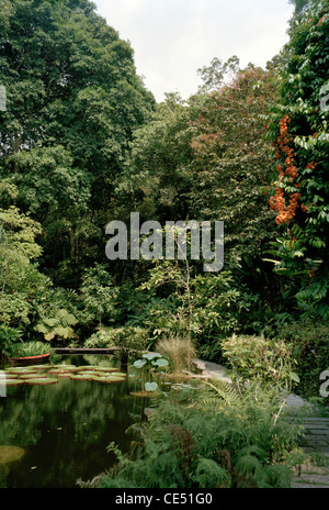 Il Botanico giardini di spezie in Penang Island in Malesia in Estremo Oriente Asia sud-orientale. La natura del mondo naturale Travel Foto Stock