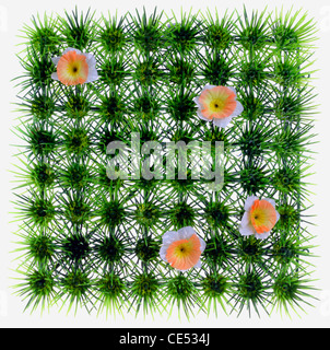 Quadratica, erba artificiale, prato, giallo con fiori di plastica. Decorazione. Foto Stock
