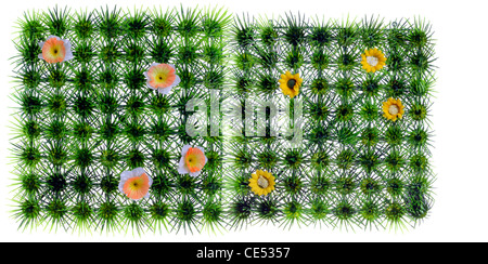 Quadratica, erba artificiale, prato, giallo con fiori di plastica. Decorazione. Foto Stock