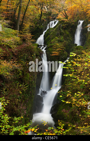 Magazzino Ghyll vigore cascata vicino a Ambleside nel distretto del lago, Cumbria, Inghilterra. In autunno (novembre 2011). Foto Stock