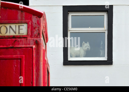 Il telefono rosso scatola che "in primo piano" nel film 'l'eroe locale', Pennan, Aberdeenshire, Scozia Foto Stock