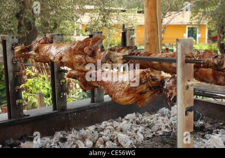 Agnello allo spiedo, Corfu, Isole Ionie, Grecia Foto Stock