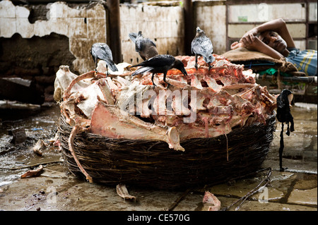 Le scene al mercato della carne , Crawford Mkt , Mumbai sud Foto Stock