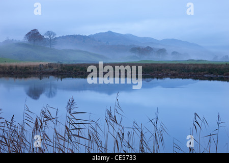 Fiume Brathay in una nebbiosa mattina vicino a Elterwater, Lake District, Cumbria, Inghilterra. In autunno (novembre 2011). Foto Stock