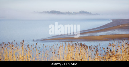 Severn Estuary tra nitidezza e Purton nel Gloucestershire con la nebbia il sollevamento dal fiume Foto Stock