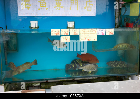 Pesce fresco in vendita in un ristorante di pesce kennedy town hong kong RAS di Hong kong cina asia Foto Stock