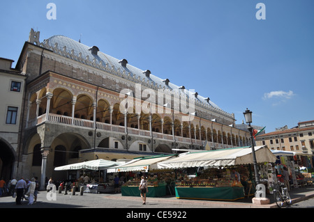 Palazzo della Ragione, Piazza dei frutti (Frutta) Padova Padoue Foto Stock