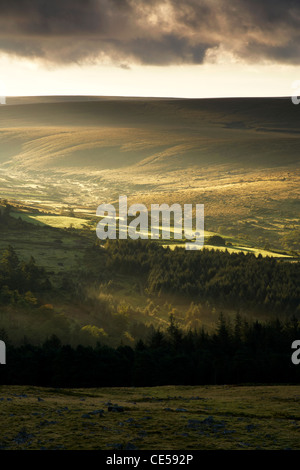 Primi albori la nebbia al sorgere del sole in una valle di brughiera al Black Tor su Dartmoor Foto Stock