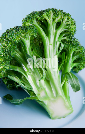 Broccoli sulla piastra piccola Foto Stock