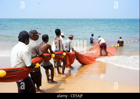 Local fishermans tirando net dall'oceano. La pesca in Sri Lanka è un lavoro duro ma questo è il loro modo di guadagnarsi da vivere Foto Stock