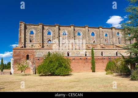 Rovine dell'Abbazia Cistercense di San Galgano, Chiusdino, Toscana, Italia, Europa Foto Stock