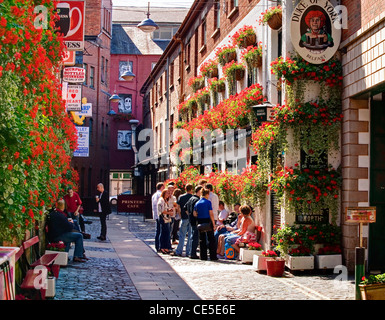 Il duca di York Pub, Belfast, Irlanda del Nord Foto Stock