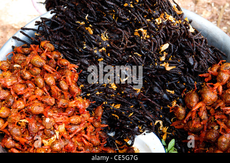 Tarantulas fritto & rane farcite w/ citronella & aglio visualizzati al mercato, Skuon, Kampong Cham provincia, Cambogia. Credito: Kraig Lieb Foto Stock