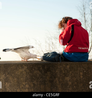 Un gabbiano rubare cibo da una persona, REGNO UNITO Foto Stock