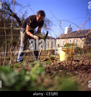 Un uomo che lavora nel suo orto in primavera in West Wales UK KATHY DEWITT Foto Stock