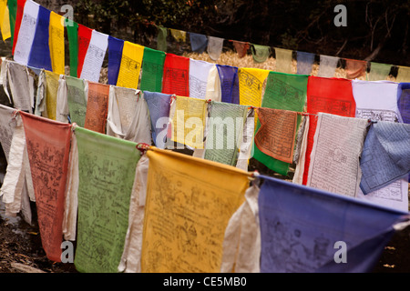 India, Arunachal Pradesh, Tawang, Thongmen Gompa, colorati bandiere di preghiera Foto Stock