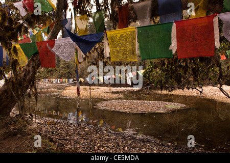 India, Arunachal Pradesh, Tawang, Thongmen Gompa, colorati bandiere di preghiera intorno al lago Santo Foto Stock