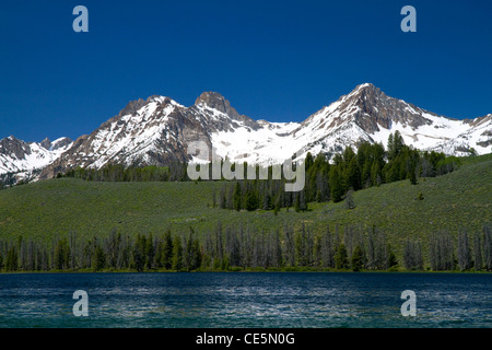 Piccolo lago dello scorfano e il dente di sega a catena montuosa situata nella contea di Custer, Idaho, Stati Uniti d'America. Foto Stock