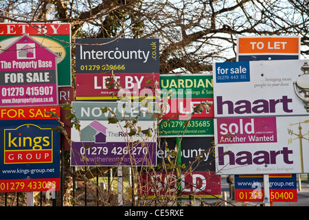 Agenti immobiliari in vendita tavole Foto Stock