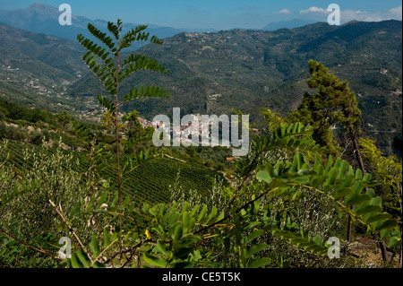 Dolceacqua sul fiume Nervia visto da Terre Bianche vigneto in Italia la Regione Liguria Foto Stock