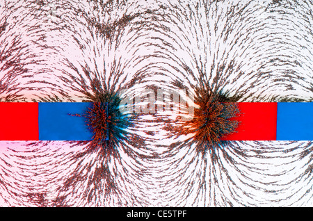 Nord e Sud "oles di un magnete e con la curva del campo magnetico illustrato utilizzando la limatura di ferro illuminato in rosso e blu Foto Stock