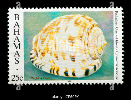 Francobollo da Bahamas raffigurante il guscio del traliccio cowrie casco (Cypraecassis testiculus). Foto Stock