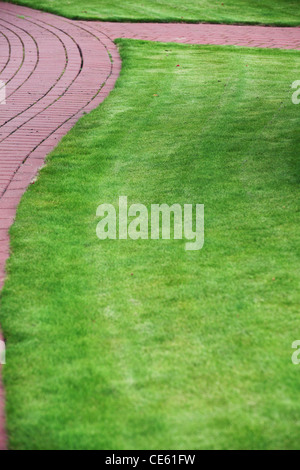 Giardino percorso in pietra con erba cresce tra e attorno alle pietre, mattoni marciapiede Foto Stock