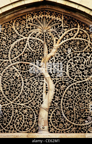 Albero della vita Jali nella Moschea di Sidi Saiyyed, Sidi Saiyyid ni Jali, Ahmedabad, Gujarat, India, Asia Foto Stock