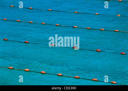 La piscina segue le corsie Foto Stock